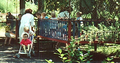 A group of Anna's friends in a large outdoor playpen at the orphanage.